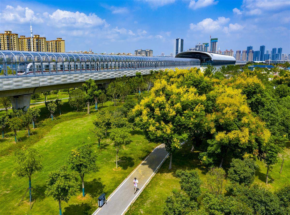 皇冠线上登录